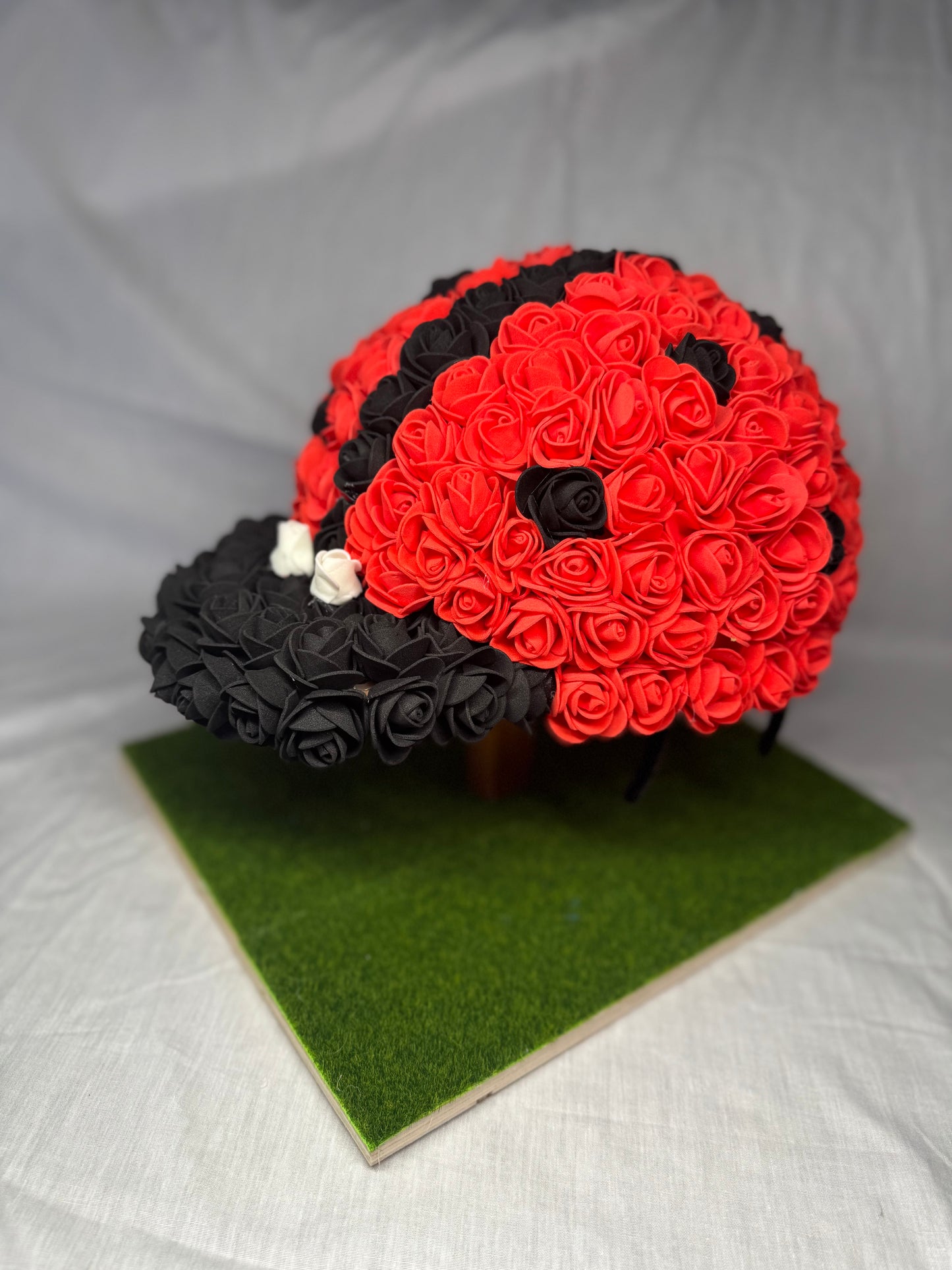 Coccinelle